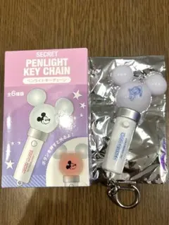 リ*ん様 ディズニー　キーチェーン　ペンライト　ドナルド