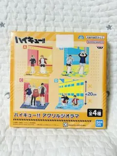 2026年最新】ハイキュー ジオラマの人気アイテム - メルカリ