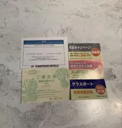 沖縄かりゆしビーチリゾート 優待券セットのサムネイル