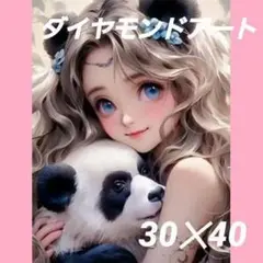 【A181】ダイヤモンドアート　30✕40cmラウンド　女の子　パンダ✱