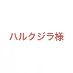 ハルクジラ様 リクエスト 3点 まとめ商品