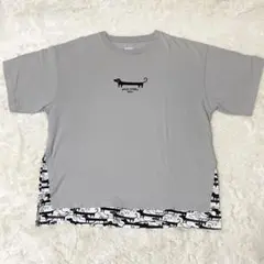 Item thumbnail for item cae4b158-885b-4357-8e77-07ef78f1d1bb