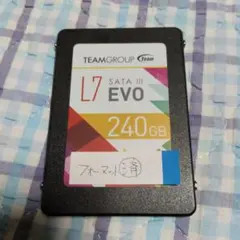 TeamGroup L7 EVO 240GB SSD 本体のサムネイル