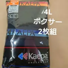 Kaepa メンズ ボクサーブリーフ 4L 2枚組のサムネイル