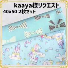kaaya様 リクエスト 2点 まとめ商品