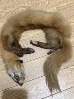 毛皮 マフラー