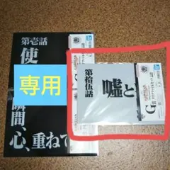 【専用】一番くじエヴァンゲリオン30th G賞 クリアファイルセット 1種