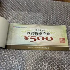 ヤマダ電機　お買い物優待券10枚5000円分