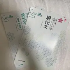 現代文 大学入学共通テスト問題集 オリジナル 30問