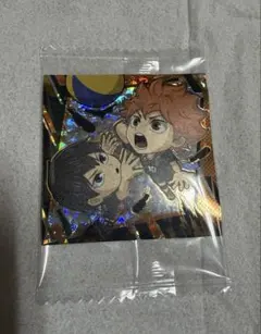 劇場版ハイキュー　HQ1-27日向翔陽＆影山飛雄 排球レア極