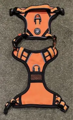 Item thumbnail for item 21a65fbc-af05-4683-b465-5271ef443c81