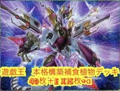 遊戯王 本格構築補食植物デッキ40枚＋E X15枚+α - メルカリ