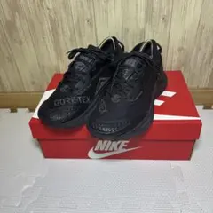 Nike ペガサス Trail 3 GTX ゴアテックス トリプルブラック