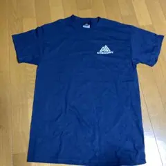 グレゴリー GREGORY Tシャツ　パタゴニアpatagoniaノースフェイス