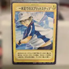 テニプリ　トレカ　カード　プリンスカード　越前　青学　３枚セット テニプリ トレカ カード プリンスカード 越前 青学 3枚セット