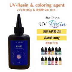 レジン13点セット　レジン液100g レジン着色剤　12色セット　着色料　高品質