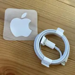 Apple Lightningケーブル 純正　12mini iPhone
