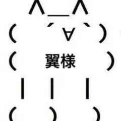 翼様専用