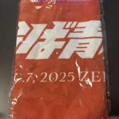 さらば青春の光 未使用 ステゴロツアー2024 - メルカリ