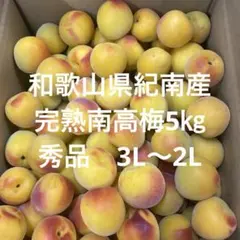 木熟梅‼️和歌山県産 木熟南高梅 3L.2Lサイズ 5kg みかんキング - メルカリ