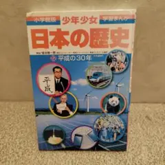 日本の歴史 平成の30年