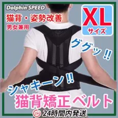 猫背矯正ベルト【 ＸＬサイズ 】面接対策　ねこ背・巻き肩改善　美姿勢キープ