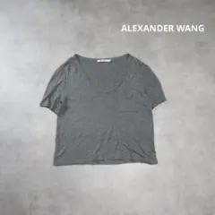 ALEXANDER WANG / レーヨン Tシャツ 半袖 カットソー S-Mのサムネイル
