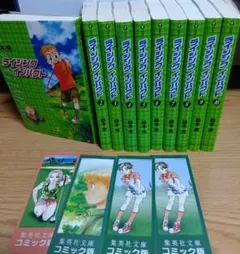 Item thumbnail for item 31037ceb-64e2-44e7-848f-0f4b6af4ccea