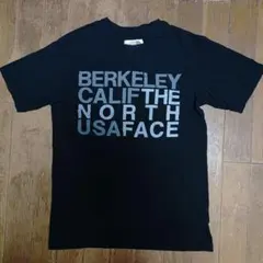 THE NORTH FACEザノースフェイス廃盤ロゴ半袖TシャツS〜Mブラック