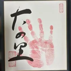 希少】直筆サイン入り 大相撲カード No.68 寺尾 常史 - メルカリ