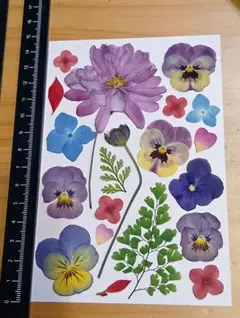 Item thumbnail for item 0da4616d-8ec7-4585-be59-be208817e6fa