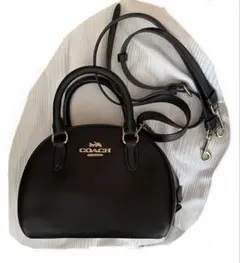 Item thumbnail for item 9fa13d38-e4e6-4d8b-b692-f2bb3c38a8fa