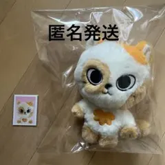 BOYNEXTDOOR ボネクド プネクド キーリング ケッピ ソンホ 証明写真