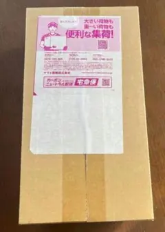 ポケモンセンター　ヒロシマ スペシャルBOX シュリンク付き未開封