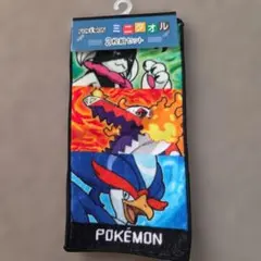 ポケモン ミニタオル 2枚セット