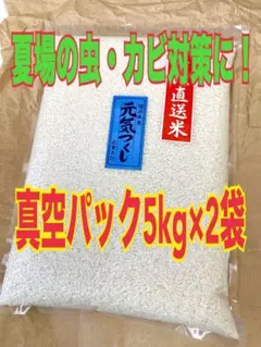 福岡県産 元気つくし5kg×2袋 白米 真空パック つきたて【超メルカリ市