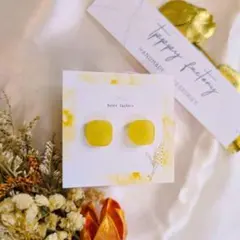 591.ハンドメイド ピアス まとめ売り サージカルステンレス 樹脂ピアス