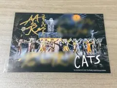 キャッツ ポストカード 紙谷昇世サイン入り - メルカリ