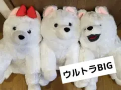 【ウルトラBIG】くったりサモエドくん ファイン 3種コンプリートセット