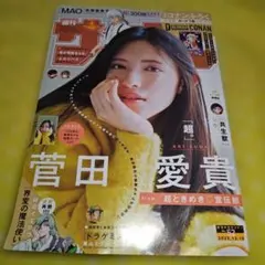 Item thumbnail for item 913c4eaa-d443-491b-bd4a-6680dc195c63