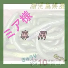 ミア様専用　5キロ