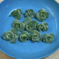 2025年最新】ラブリーローズ錦の人気アイテム - メルカリ