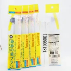 Item thumbnail for item 50bea030-4967-4681-a1de-8fe35b8c97e6