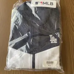 Item thumbnail for item b899e216-f3fa-4f58-8412-9da055471e3a