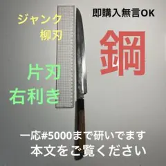 Item thumbnail for item 8b214792-ed68-4b31-8440-0d087dd1b83f