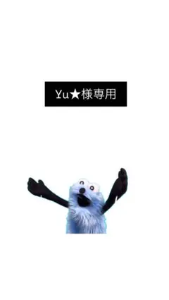 Yu⭐️様専用ページです