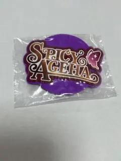 【お値下げしました！】　アイカツ　ガチャ　ラバーコースター