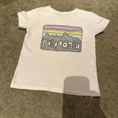 Patagonia ホワイト Tシャツのサムネイル