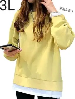 プルオーバー  ビックサイズ  パーカー