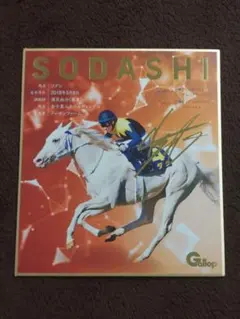 かっちゅん様 リクエスト 2点 まとめ商品